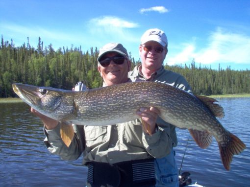 Canada Northern Pike Fishing - Go Fishing Canada