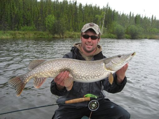 Fly Fishing Northern Pike - Go Fishing Canada