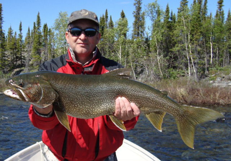 Fly Fishing Lake Trout Go Fishing Canada